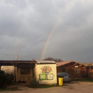 WhatsApp Image 2025-12-03 at 08.44.25